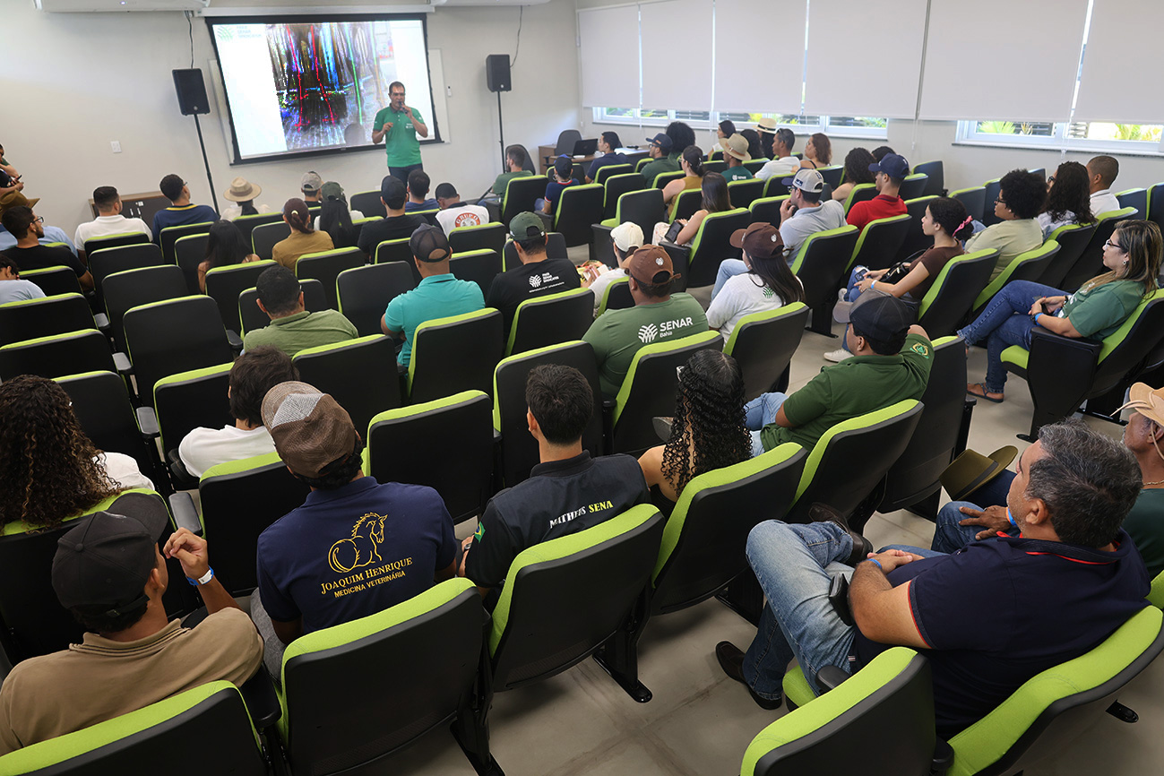 Foto: Reprodução/Prefeitura de Feira de Santana - BA